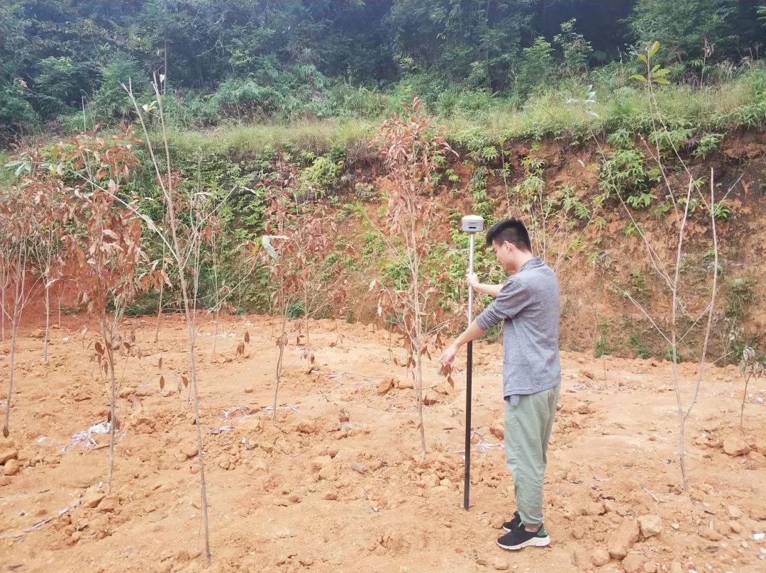 土地妄想部项目纪实丨js555888金沙老品牌人，，，助力荒地变桑田！