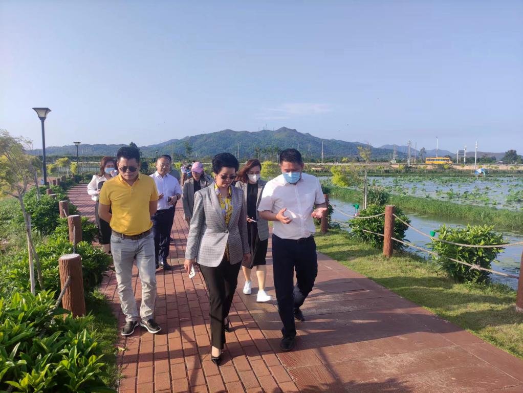 省生态修复协会轮值会长单位js555888金沙老品牌集团带队赴汕尾全域土地整治军民融合试点项目调研