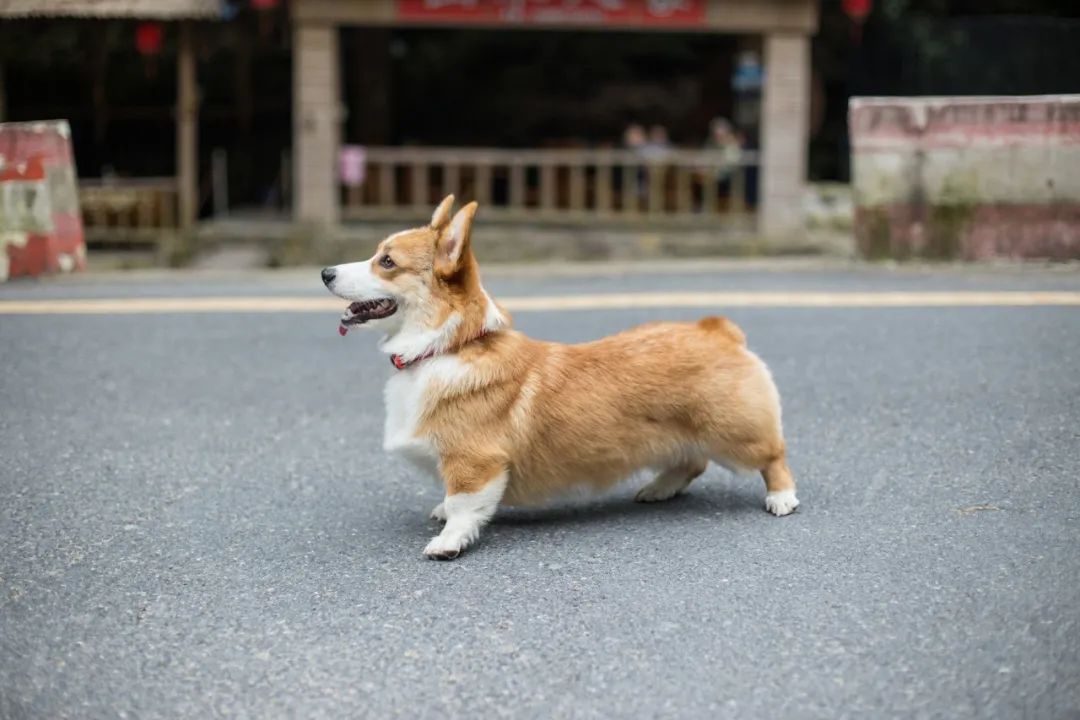 再见，，，，，，我的老朋侪