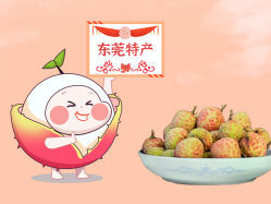 漫话js555888金沙老品牌丨一颗有“故事”的荔枝！