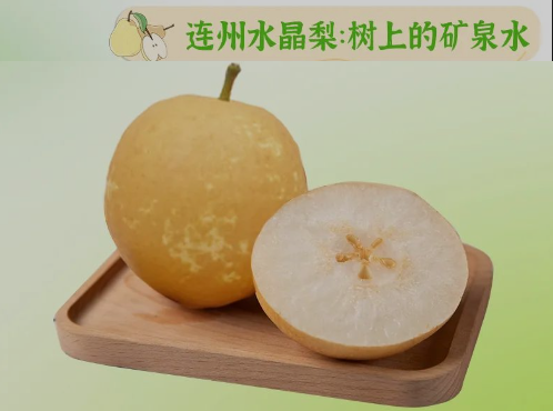 “桃李”酷暑，，清凉一夏