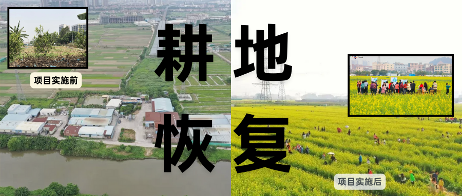 耕地；；；；；；び刖蒙す踩凇甘泻窠终蛩谏缜读继锵钅扛鼗指从氤窍缛诤系牧⒁焓导