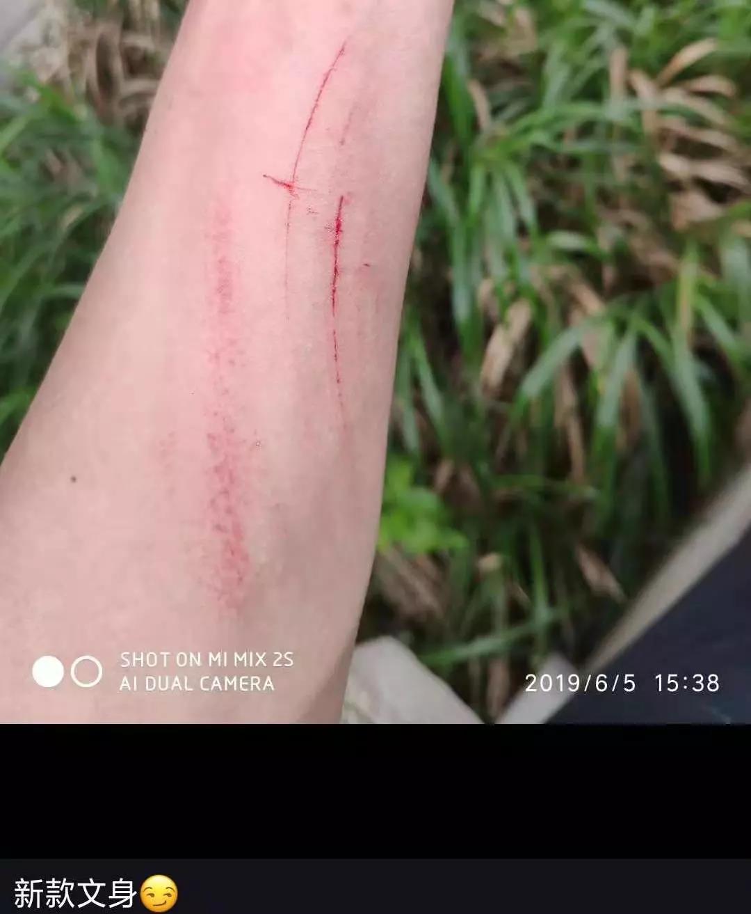 惠州三门岛项目纪实丨人生没有白走的路，，，，每一步都算数！-js555888金沙老品牌控股集团